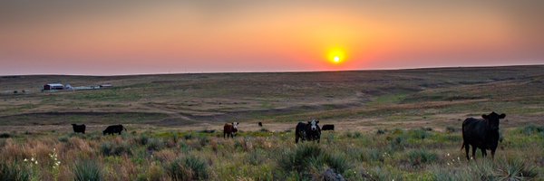 SierraFranks11 Profile Banner