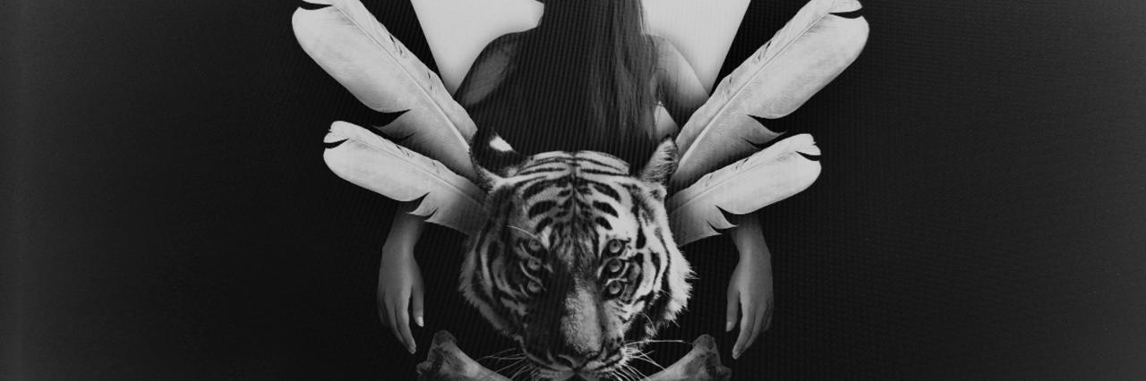 nadouchkaya's profile banner image
