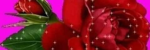 MarieCandia's profile banner image