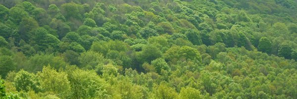 heather_c_c Profile Banner