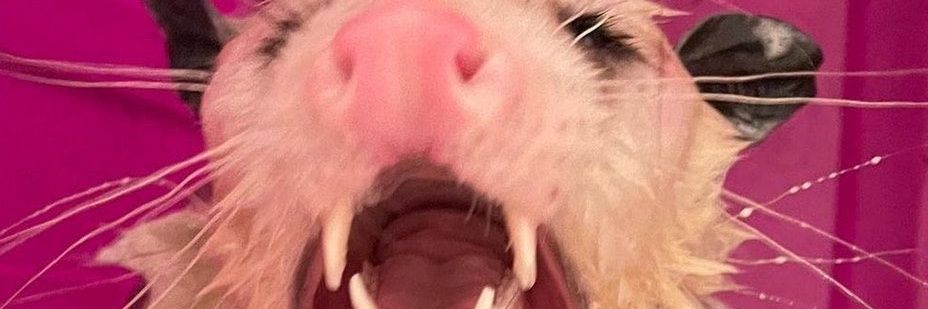 17Kingcreate's profile banner image