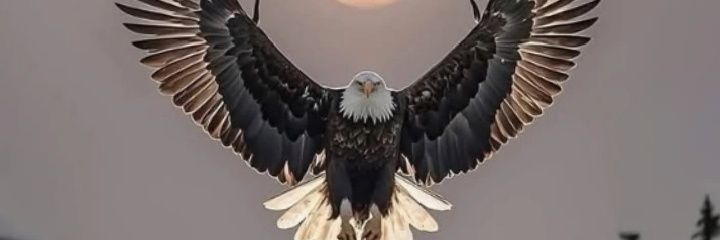 semralya's profile banner image
