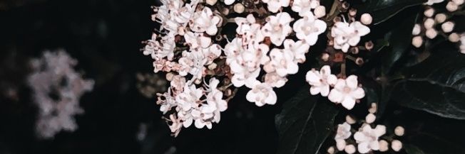 equiilove's profile banner image