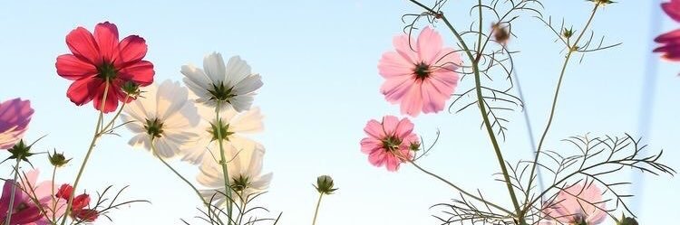 stbur04's profile banner image