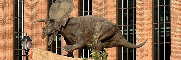 visitnewhaven Profile Banner