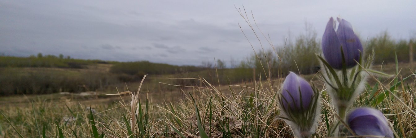 CMooreRange's profile banner image