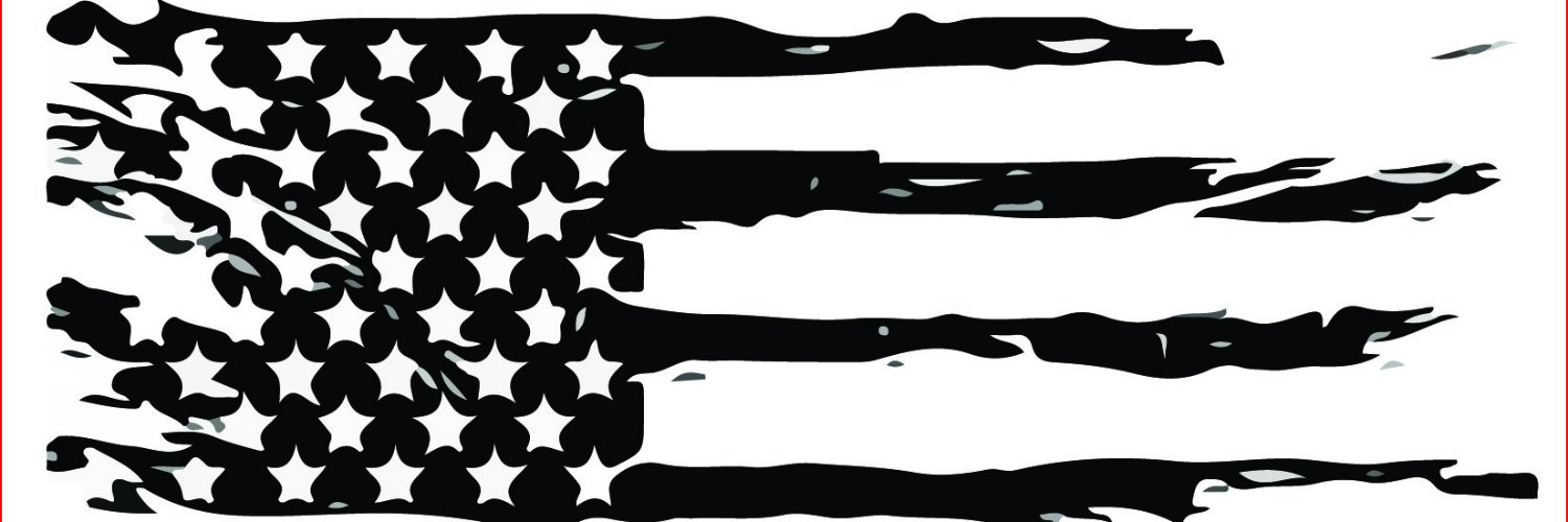 🇺🇸🇺🇸MN Veteran's banner