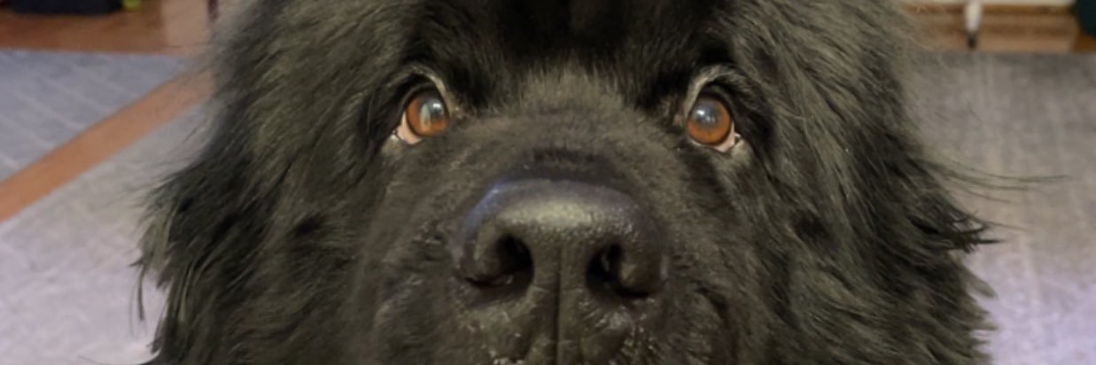 Kblackwell30's profile banner image