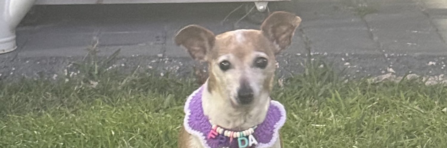 ami_mindy's profile banner image