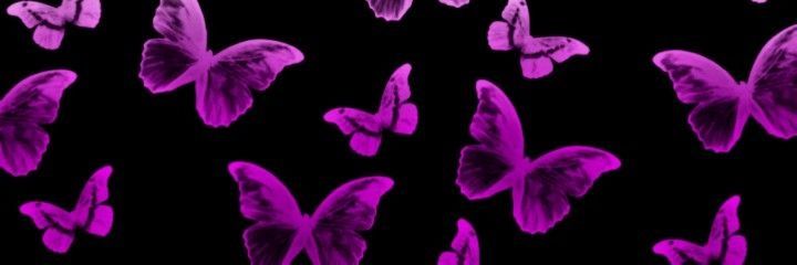 💜 𝚢𝚞𝚛𝚒 banner