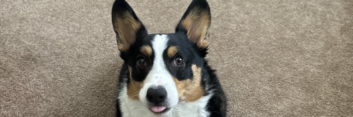 ravnilk_'s profile banner image