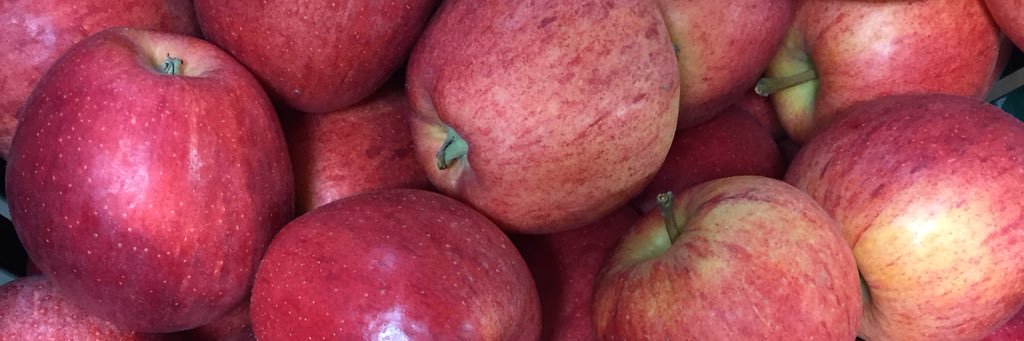 brantviewapples banner