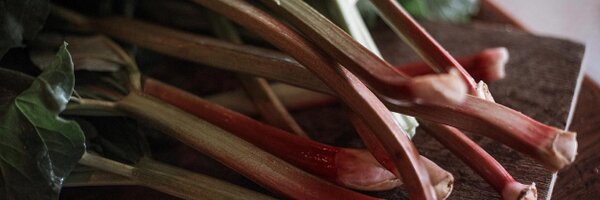 RhubarbAVL Profile Banner