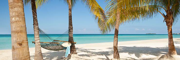 IslandTimeTrav's profile banner image