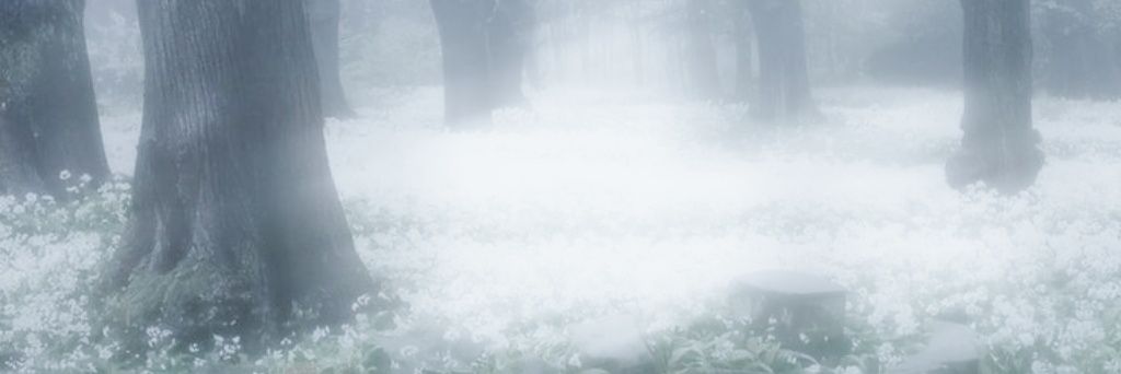 𝓼𝓸𝓭𝓪 (slow) banner