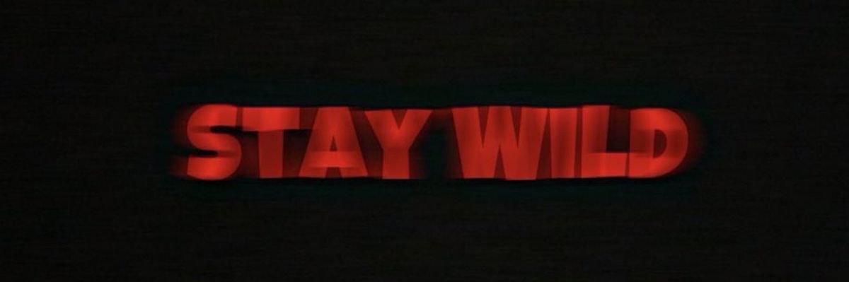 🌸 banner