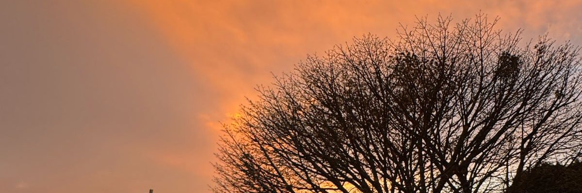 alisonlpzz's profile banner image