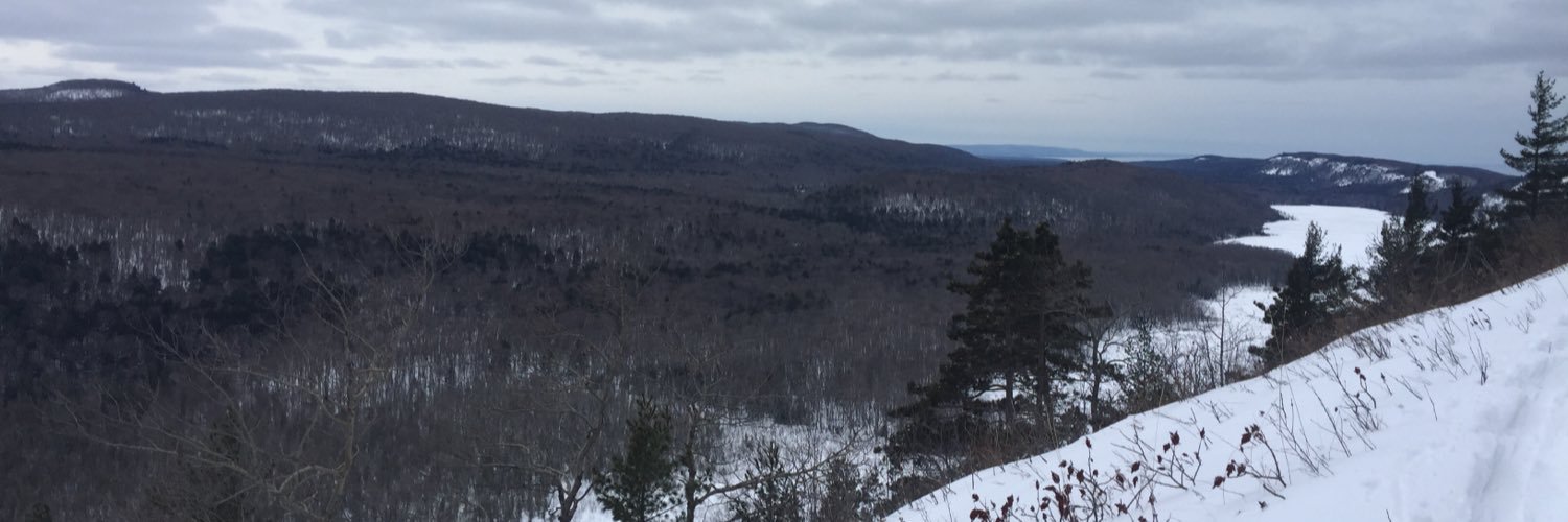 lindseyheim's profile banner image