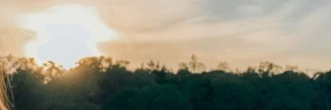 nehakewords's profile banner image