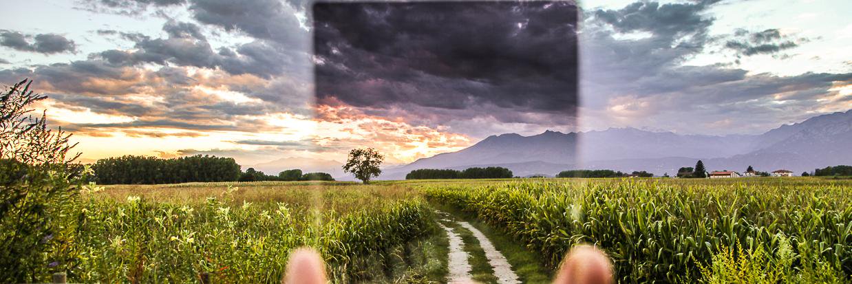 pathtosustain's profile banner image