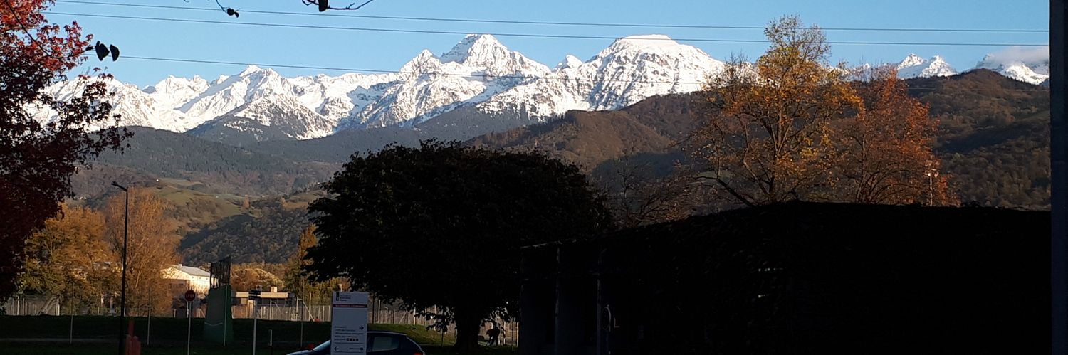 BVerdePiuma's profile banner image