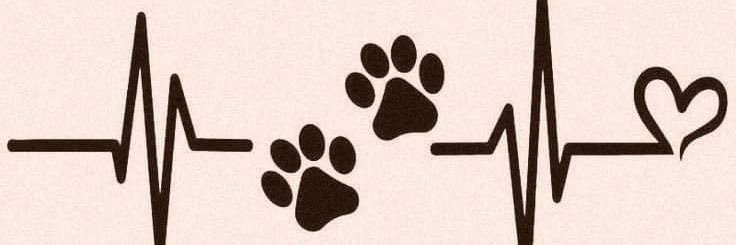 くれあ@れいわ🐾大阪5区's banner