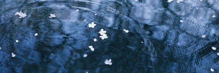 ⋆˙⟡ kasper. | sherly. banner