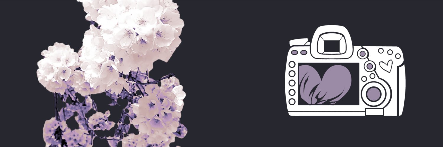 LCB_Kieu's profile banner image