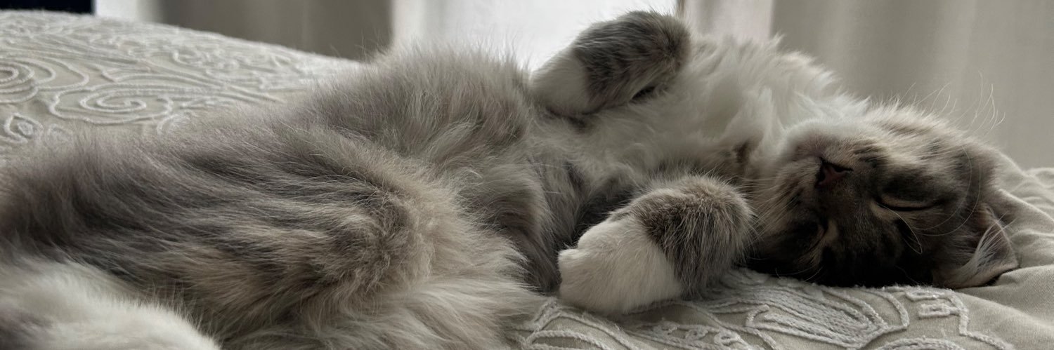 ˢᵒᶠᶦᵃ banner