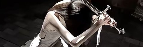 Pp banner