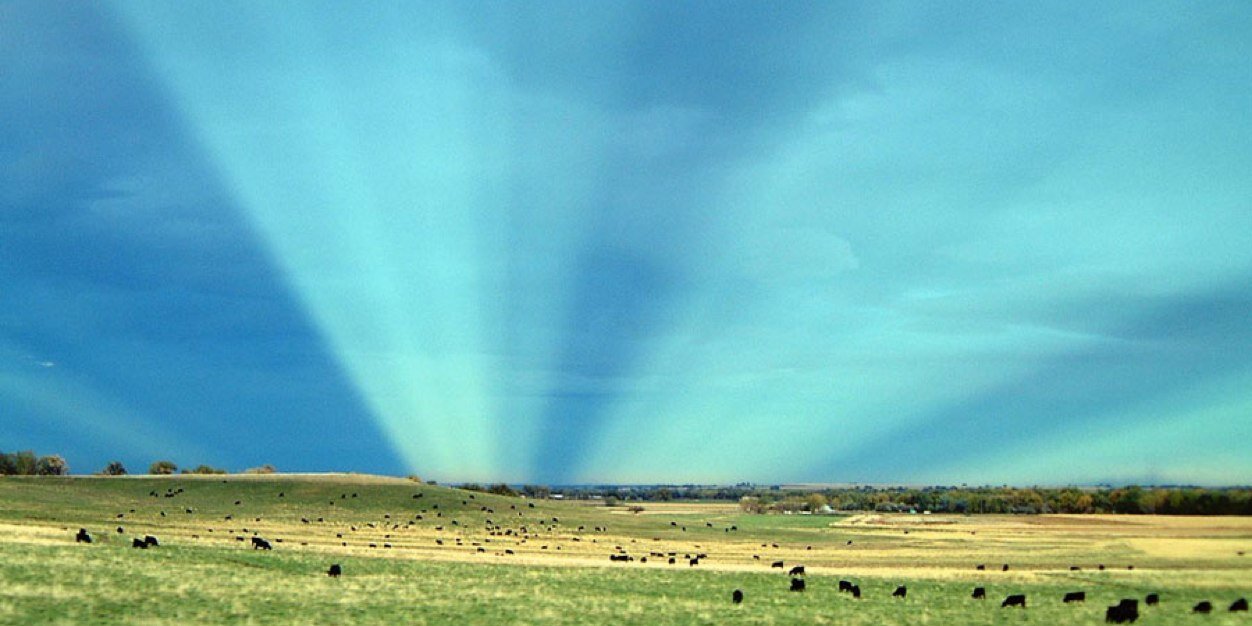 Weather Pictures banner