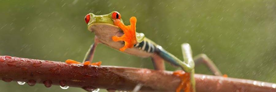 SUSANAMENDOZA39's profile banner image