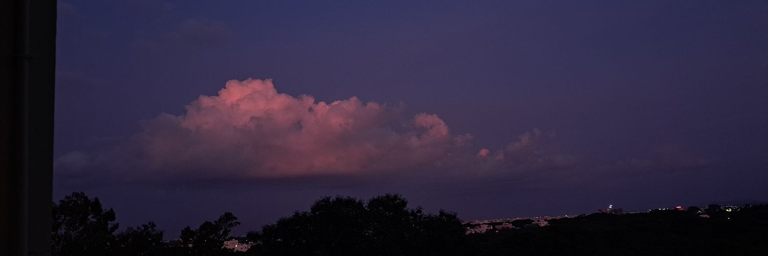 Netra Krishna banner