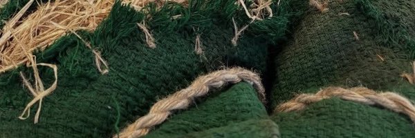 Telemachus_CEO Profile Banner