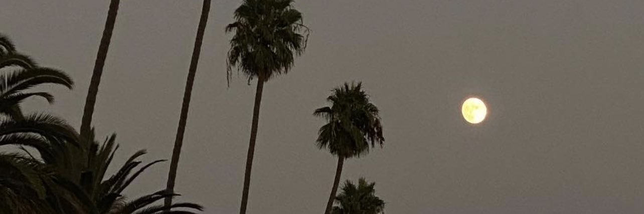 skye_formanek's profile banner image