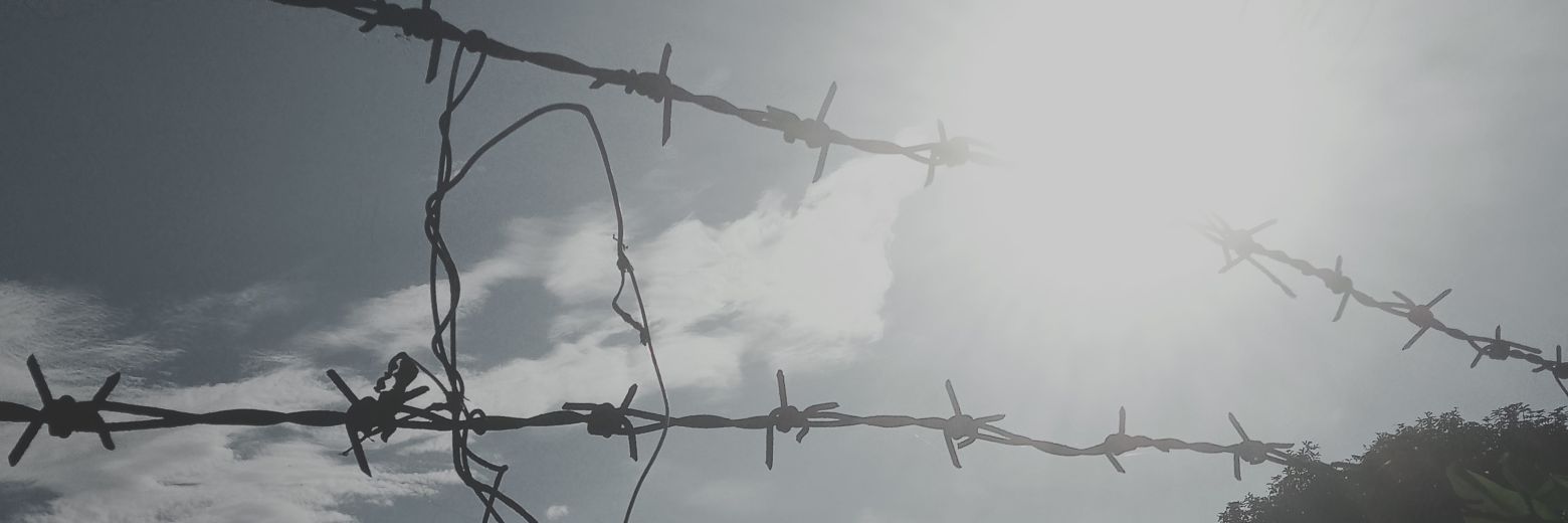 liaarin_nin banner
