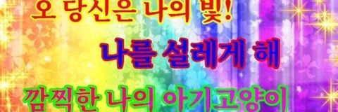 도돗 banner