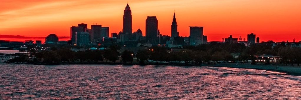 _SethGreenberg's profile banner image