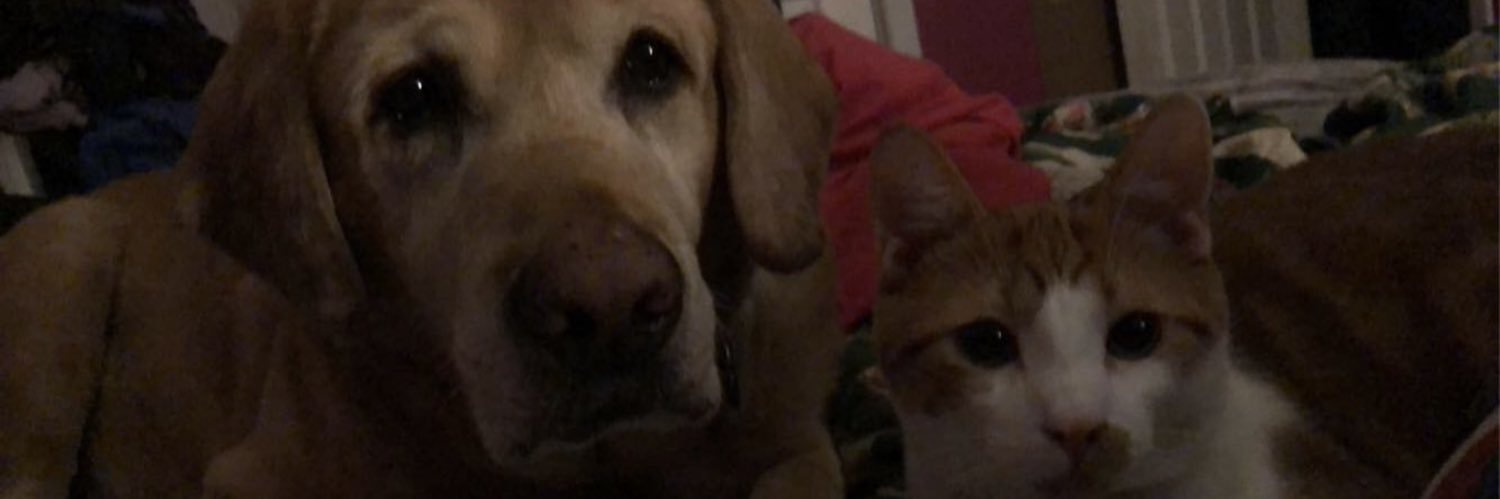 Holly_winger's profile banner image