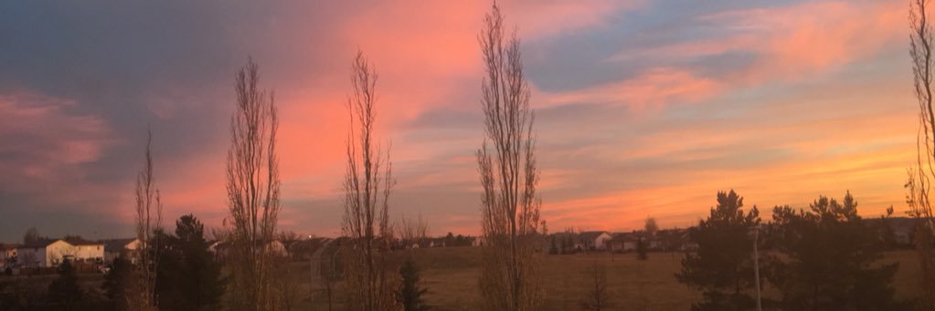 JuliaVo's profile banner image