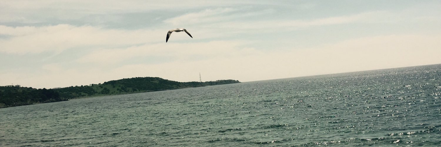 gulcindermann's profile banner image