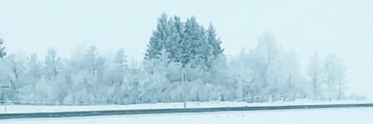 Clxtlisa's profile banner image