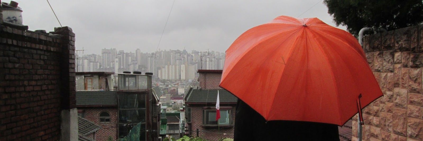 dbluhm_'s profile banner image