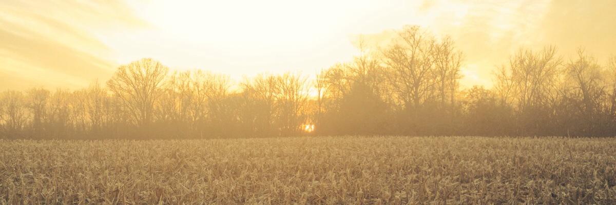 kristenlaforest's profile banner image
