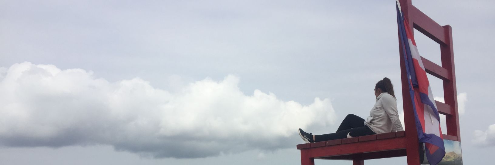 Laukine's profile banner image