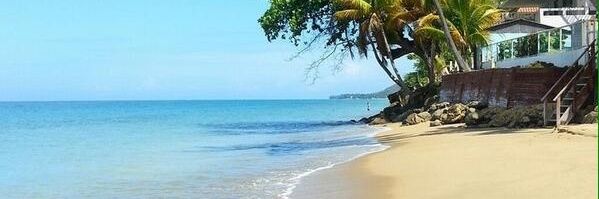 pacodelcampo's profile banner image