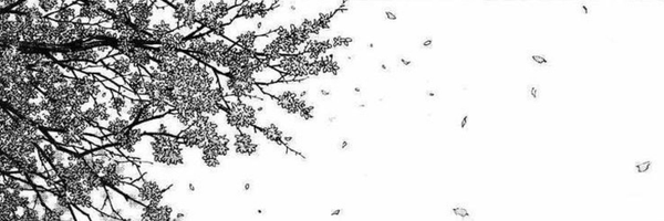 BeanzzSOL Profile Banner