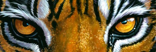 khomais's profile banner image