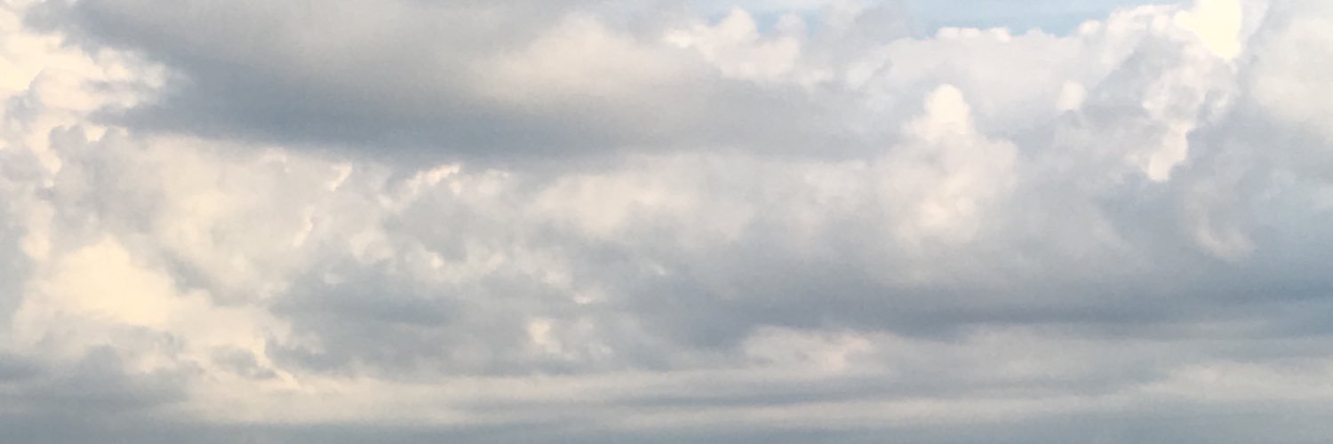 ShawnaBoo86's profile banner image