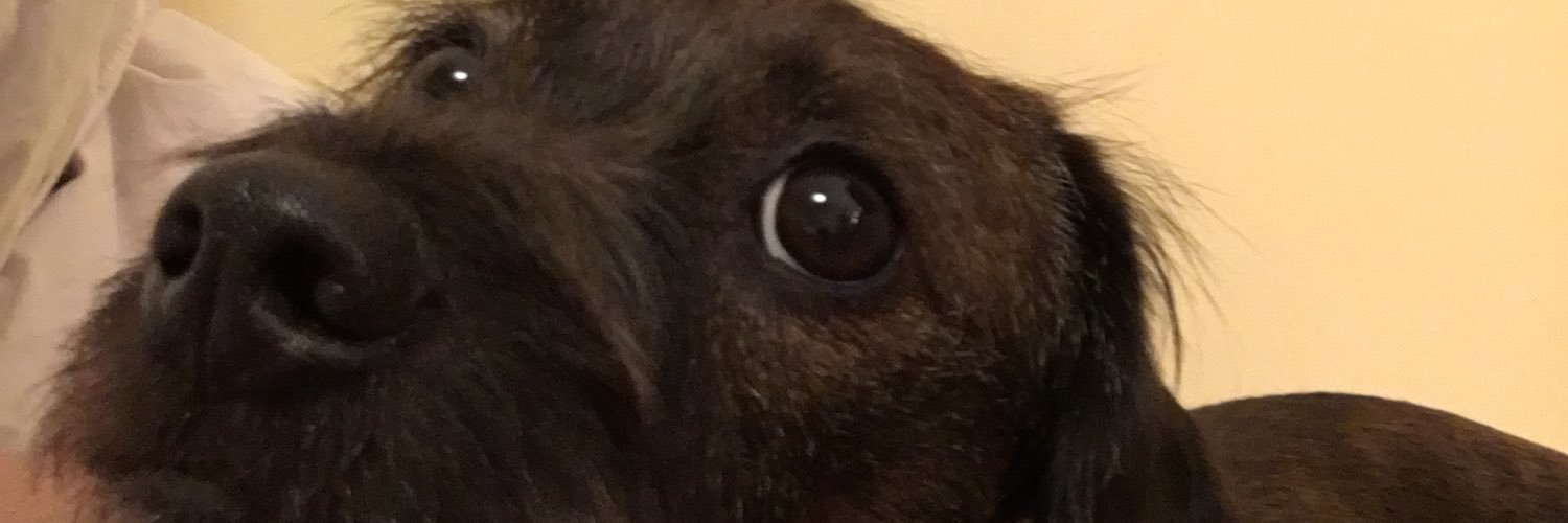 tupperwarelyds's profile banner image